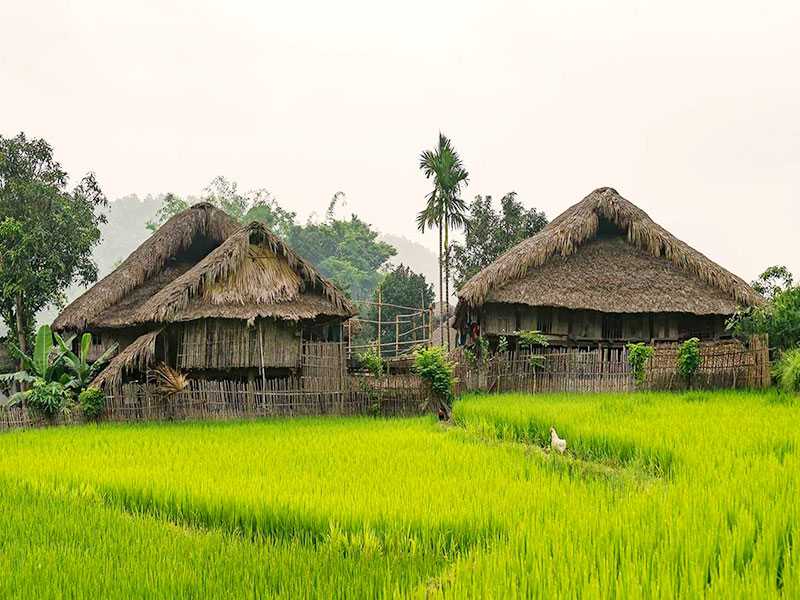 Truly Ha Giang Tours 3 Days 2 Nights (Private Tour)